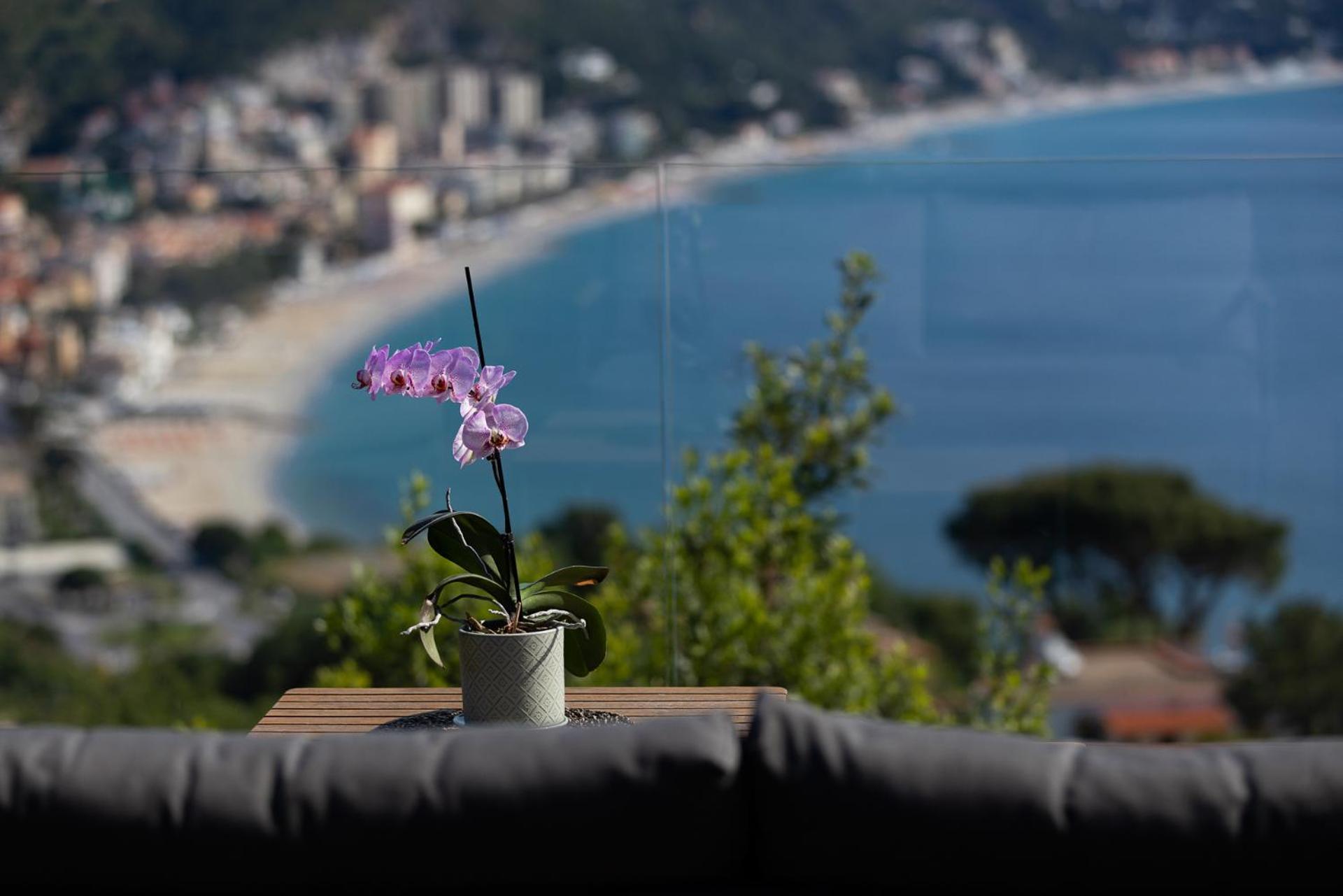Willa Spettacolare Vista Isola Terrazza E Idromassaggio Noli Zewnętrze zdjęcie